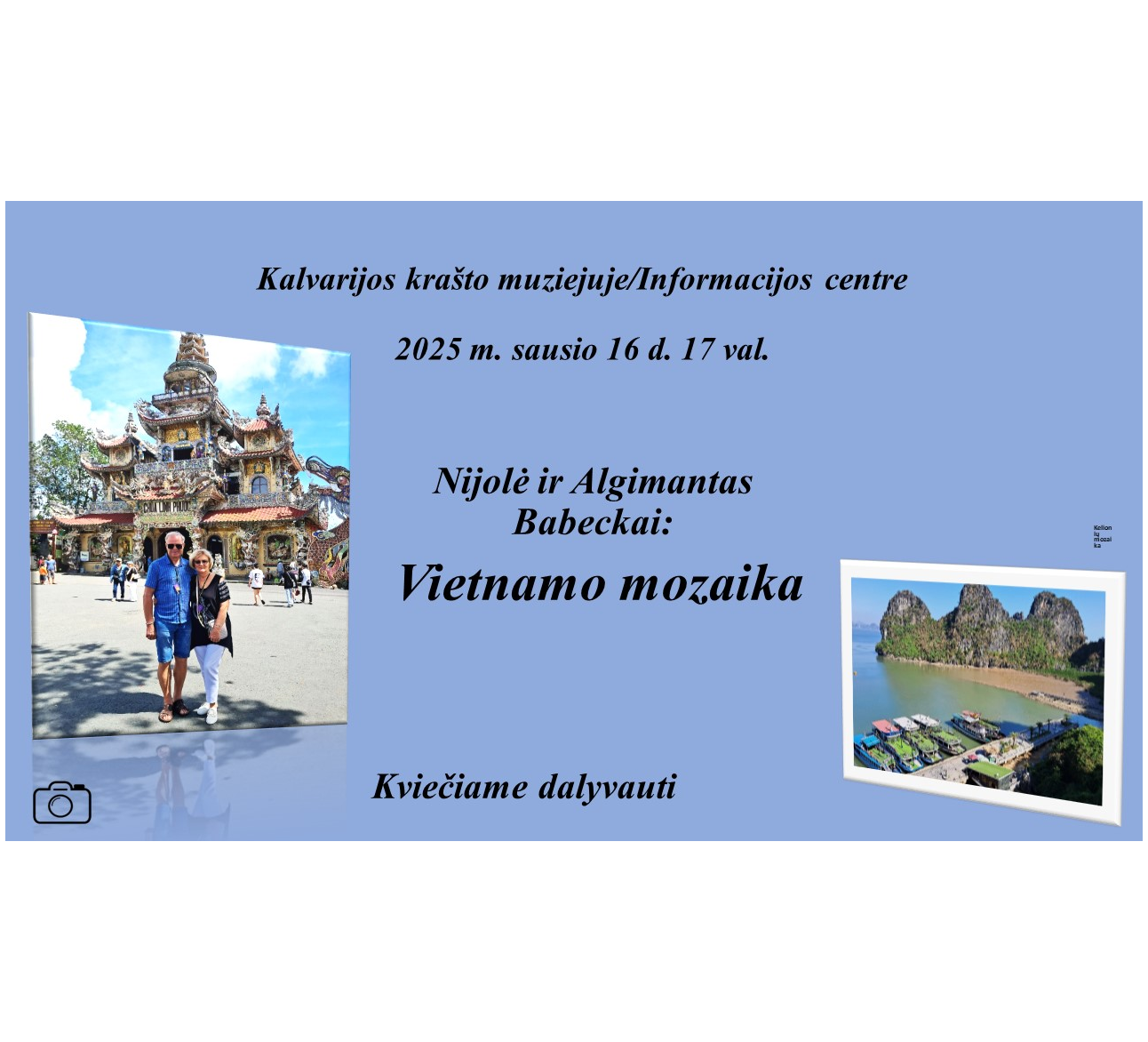 Vietnamo mozaika