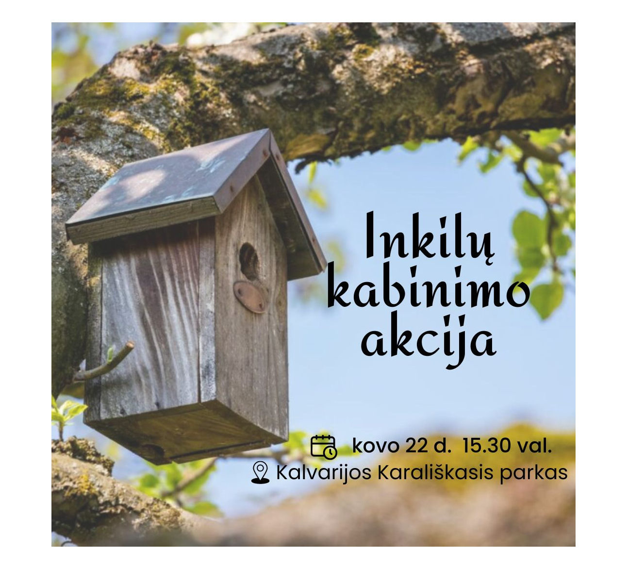 Inkilų kabinimo akcija