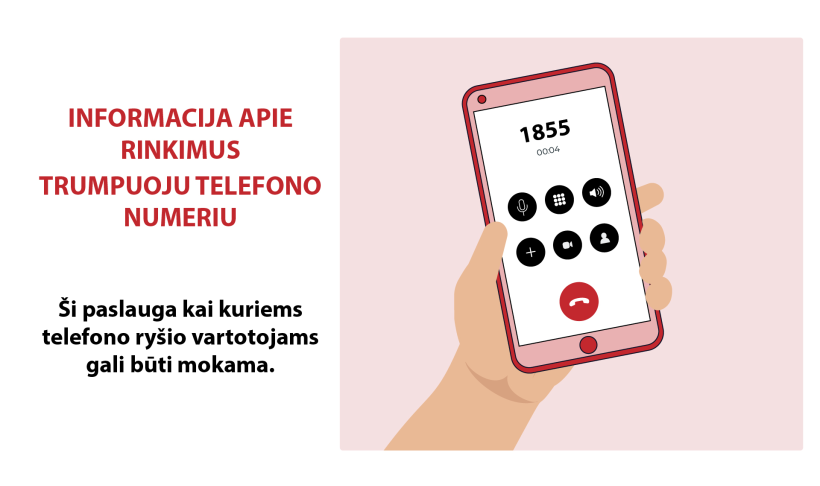 Rinkėjų pašto dėžutėse – pranešimai apie dvejus rinkimus