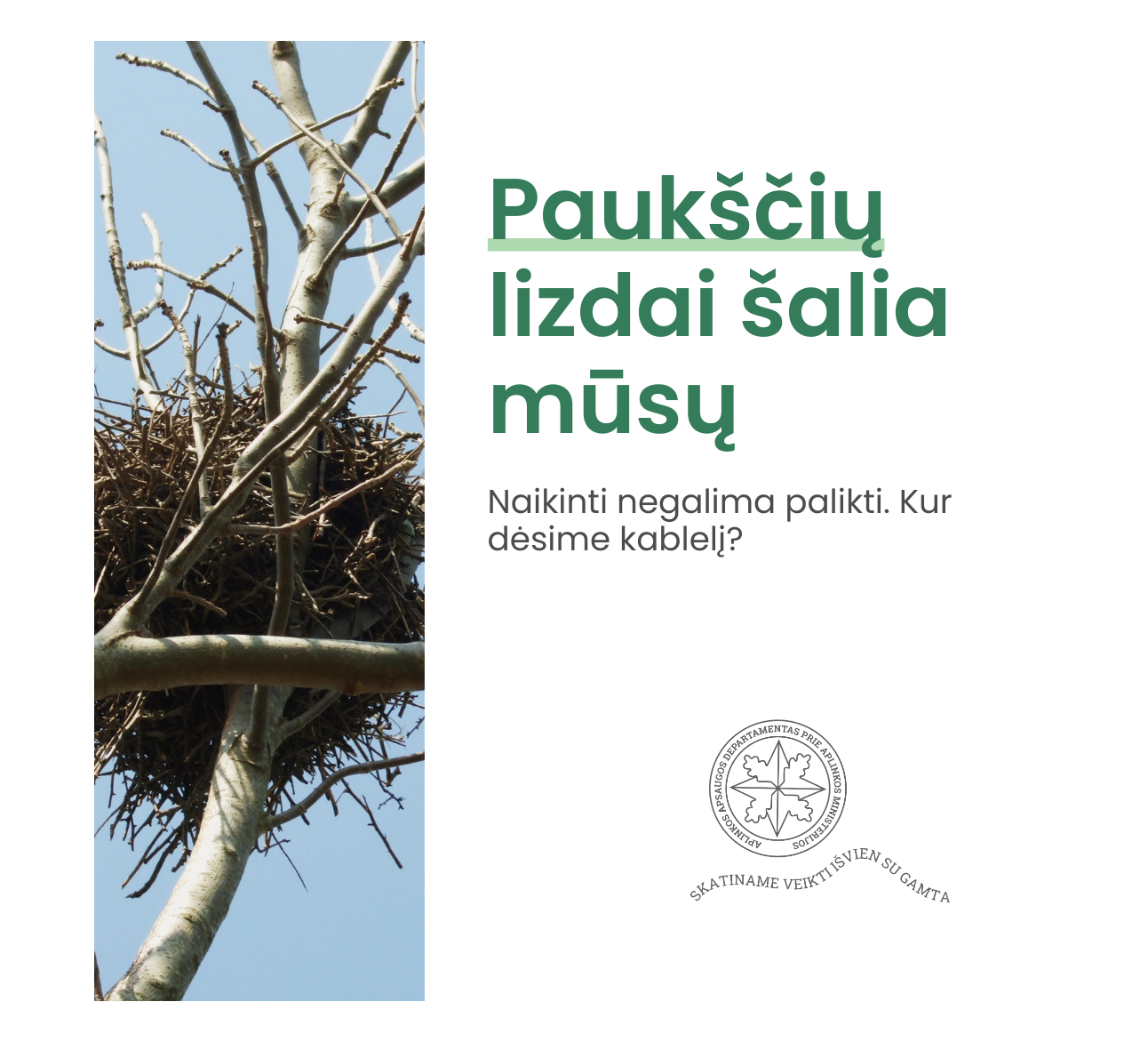 Nauja atmintinė: kada ir kaip galima perkelti arba ardyti laukinių paukščių lizdus