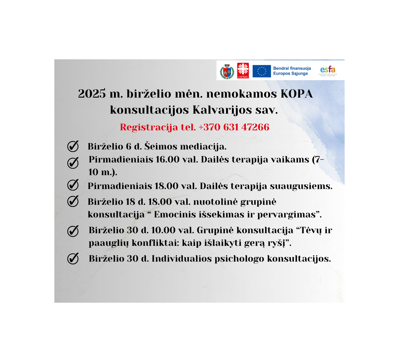 KOPA paslaugos birželio mėn.