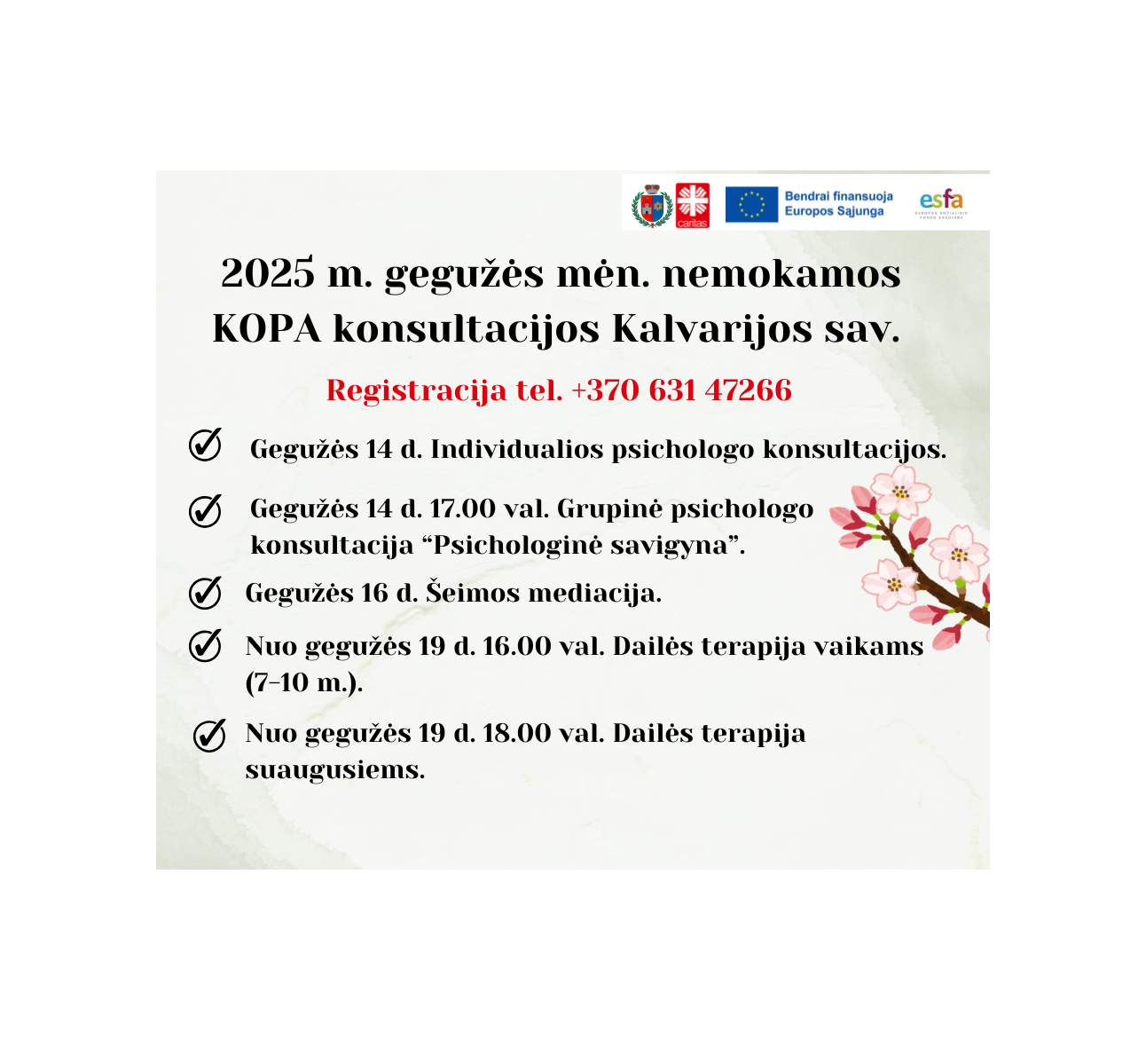 KOPA paslaugos gegužės mėn.