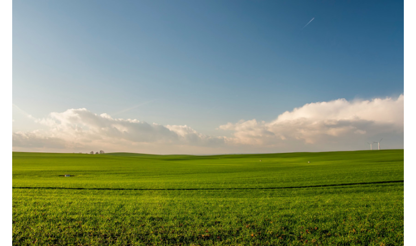 Kokių reikalavimų būtina laikytis sėjant posėlį