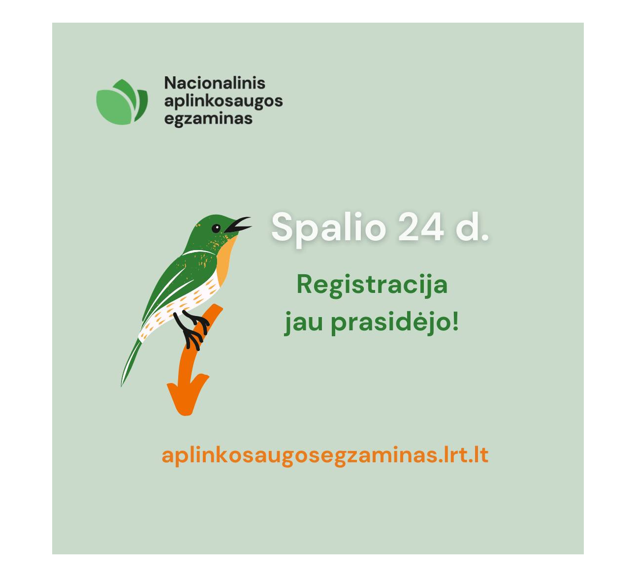 Nacionalinis aplinkosaugos egzaminas – jau šį antradienį