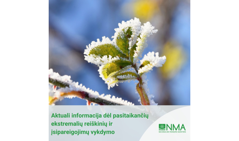 Informacija dėl pasitaikančių ekstremalių reiškinių ir įsipareigojimų vykdymo