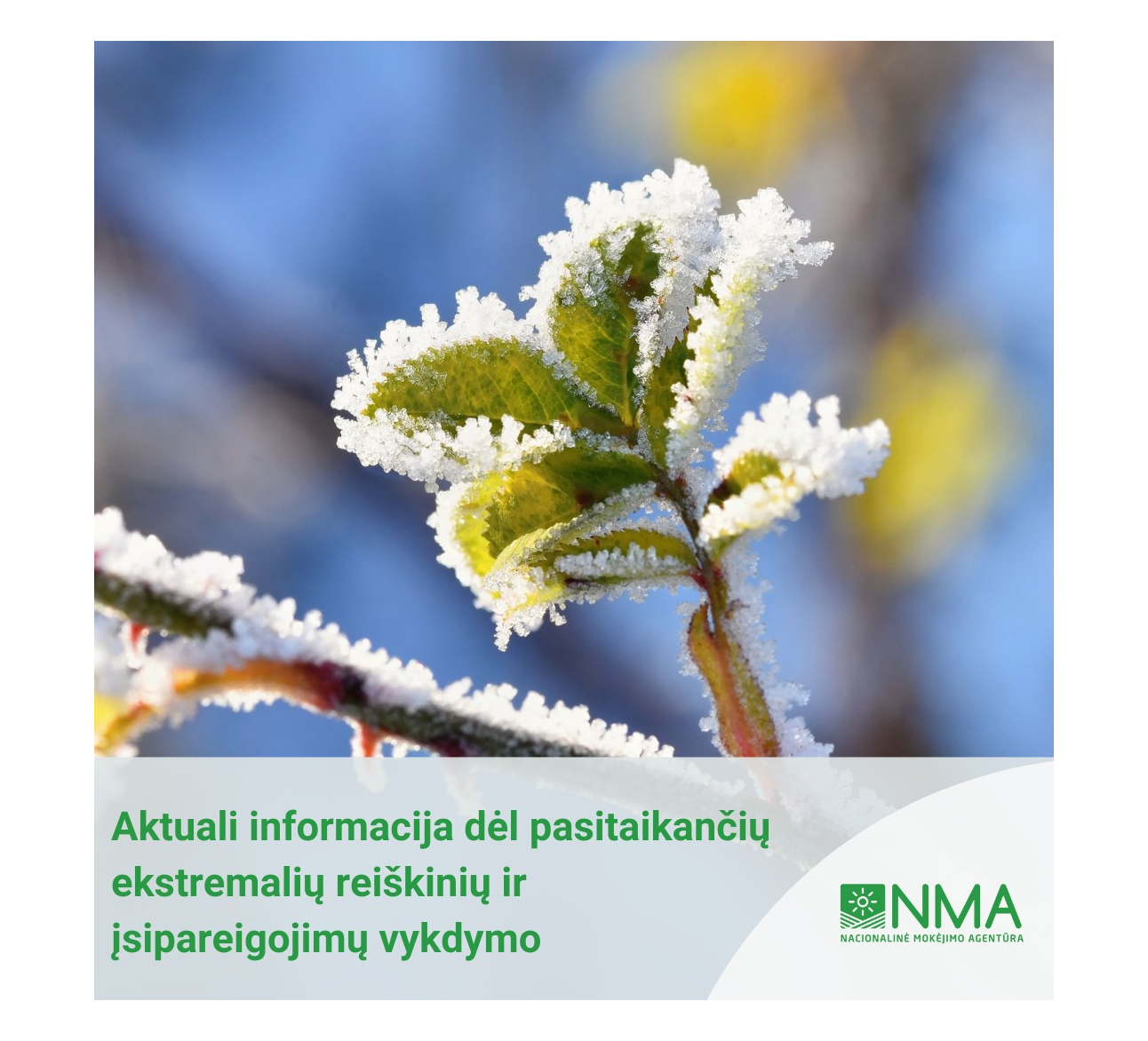 Informacija dėl pasitaikančių ekstremalių reiškinių ir įsipareigojimų vykdymo