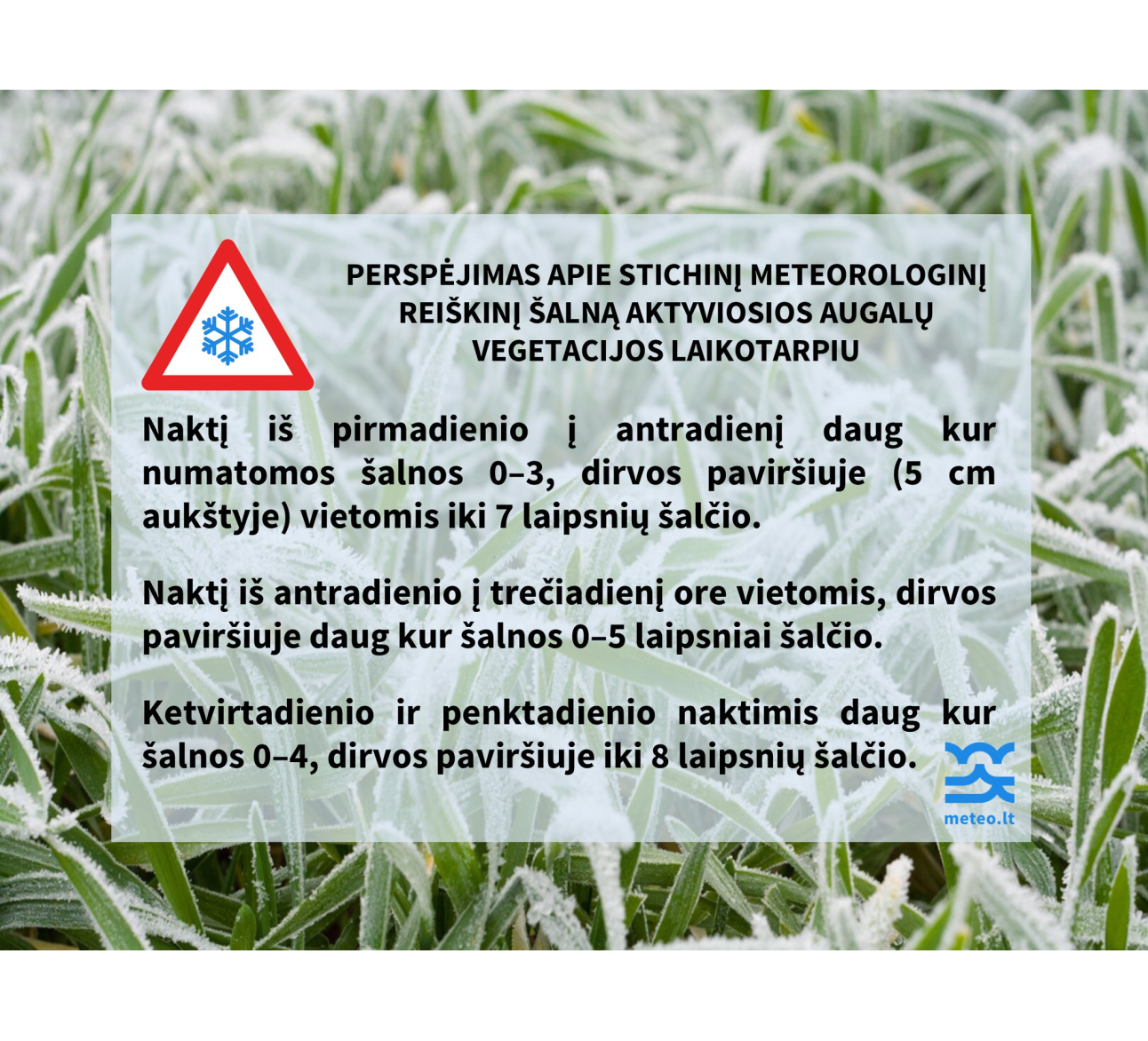Perspėjimas apie stichinį meteorologinį reiškinį – šalną aktyviosios augalų vegetacijos laikotarpiu
