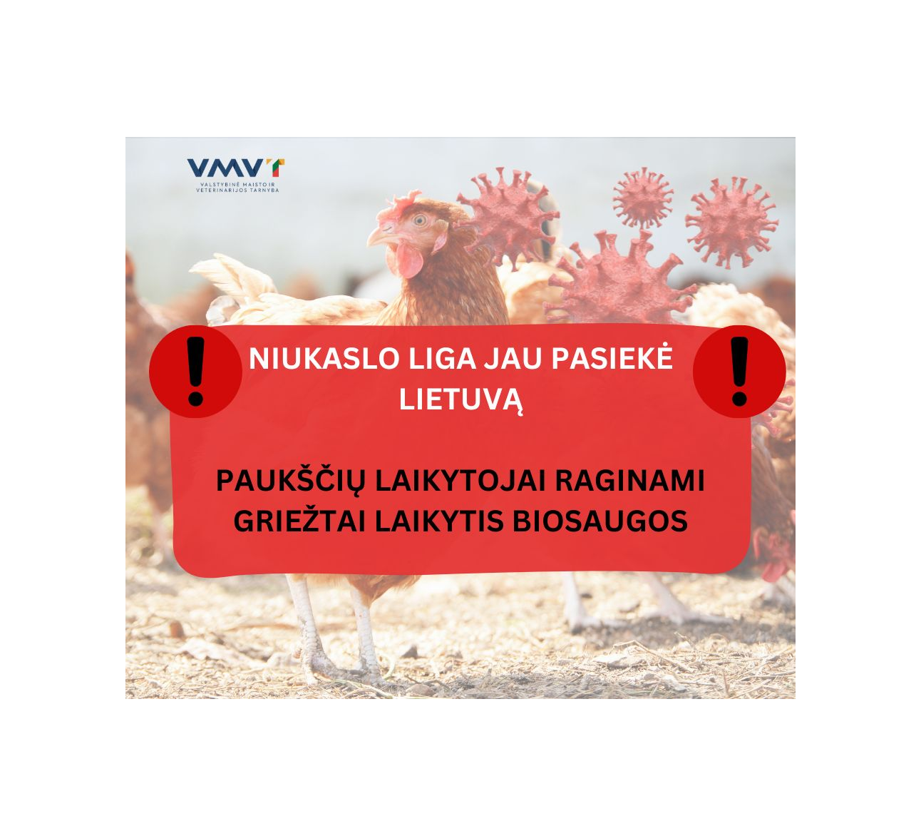 Pirmą kartą Lietuvoje nustatyta ypač užkrečiama Niukaslo liga naminių paukščių ūkyje