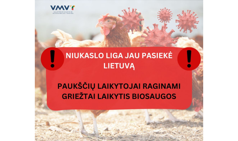 Pirmą kartą Lietuvoje nustatyta ypač užkrečiama Niukaslo liga naminių paukščių ūkyje