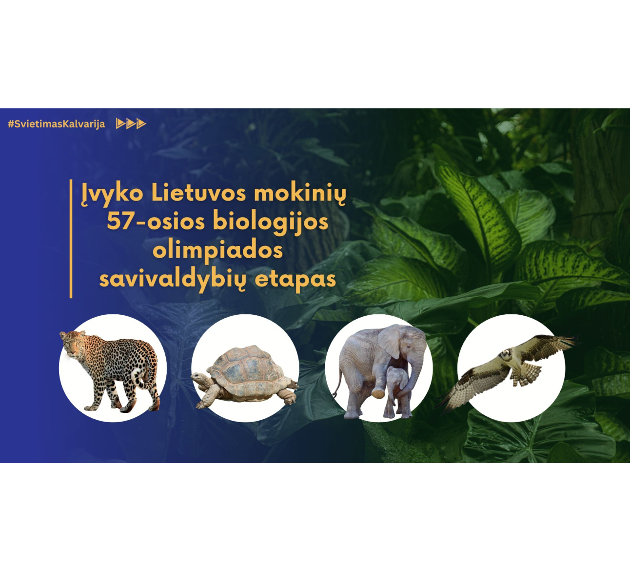Įvyko Lietuvos mokinių 57-osios biologijos olimpiados savivaldybių etapas