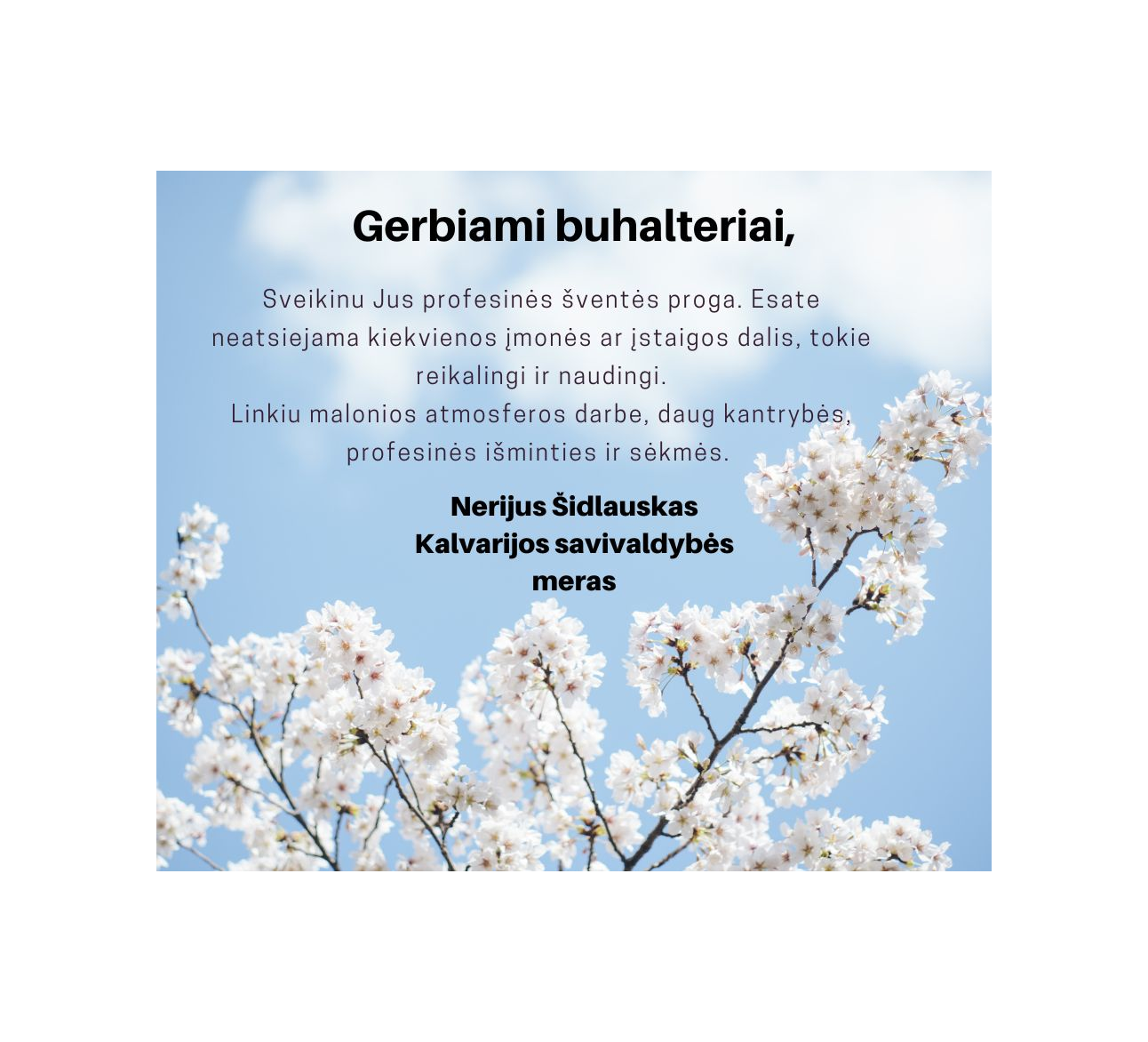 Mero sveikinimas buhalteriams