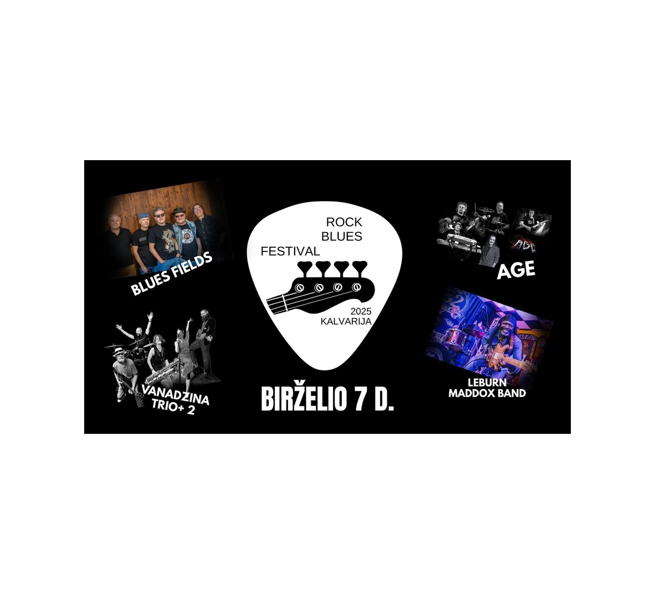 Festivalis „Suvalkų bliuzo aidas Lietuvoje“