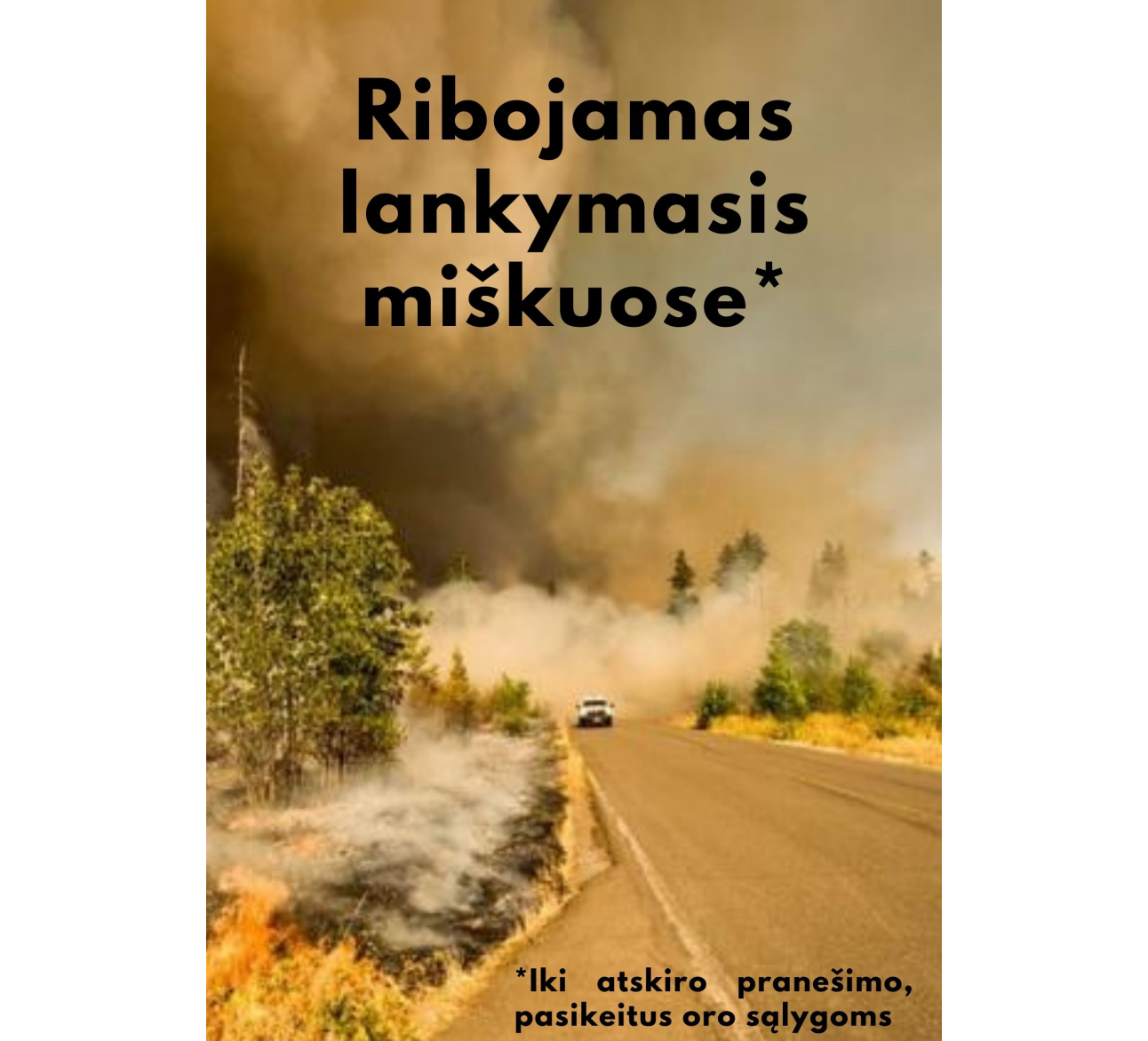 Dėl laikino ribojimo lankytis miškuose