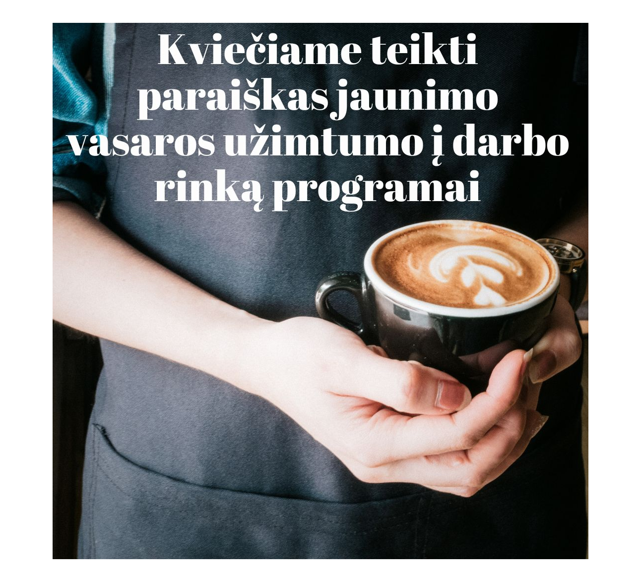 Kviečiame teikti paraiškas jaunimo vasaros užimtumo į darbo rinką programai