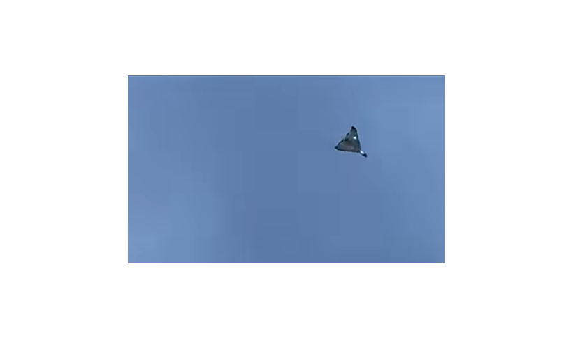 Kaip elgtis pamačius bepilotį orlaivį (droną)