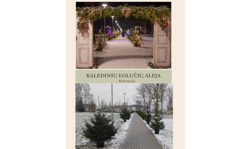 2023-iųjų metų įgyvendintų darbų apžvalga
