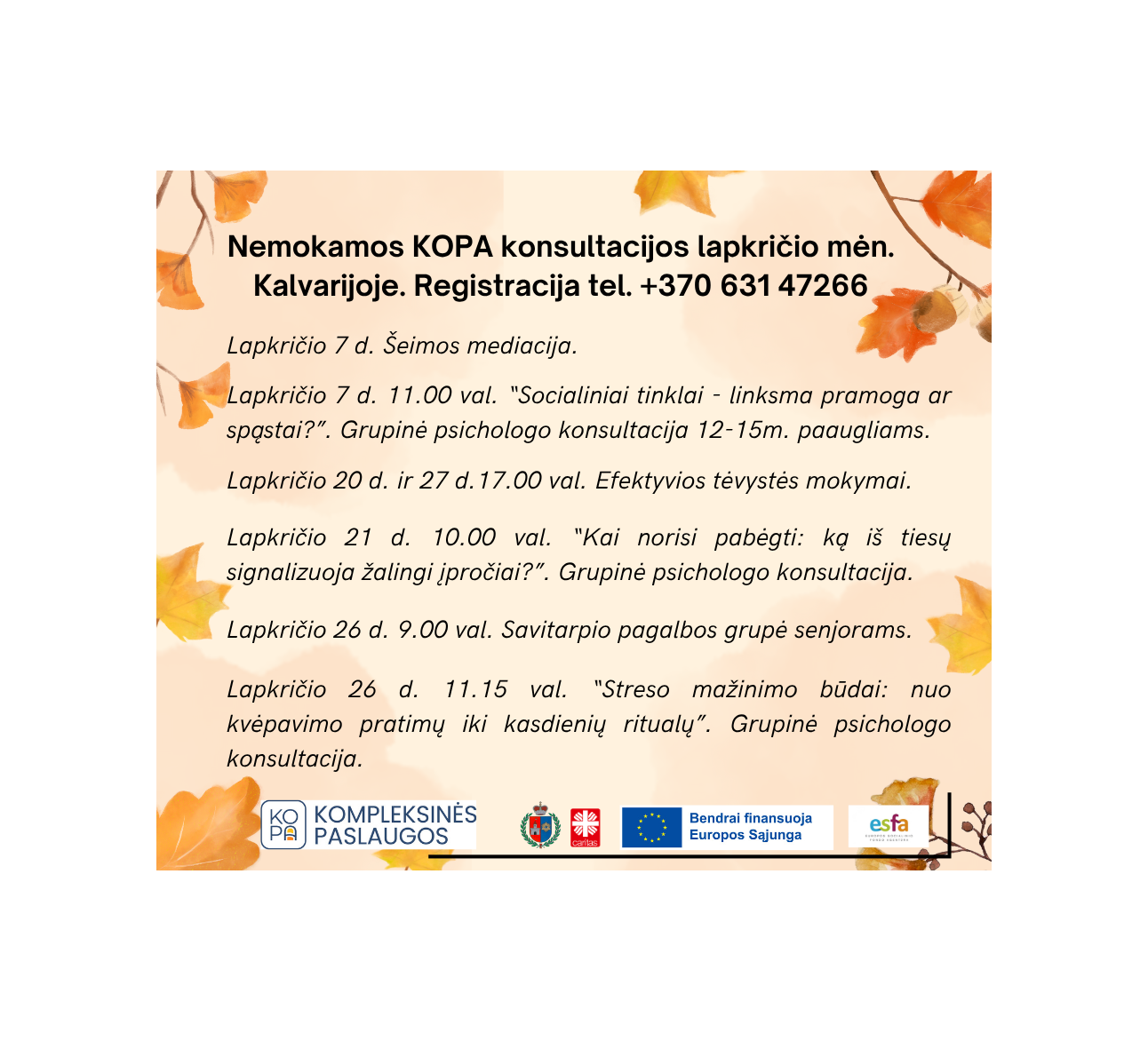 KOPA paslaugos lapkričio mėn.