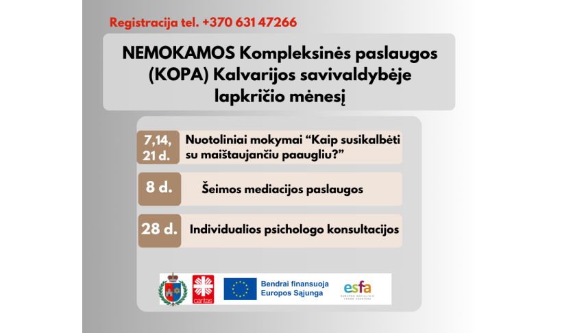 KOPA paslaugos lapkričio mėn.
