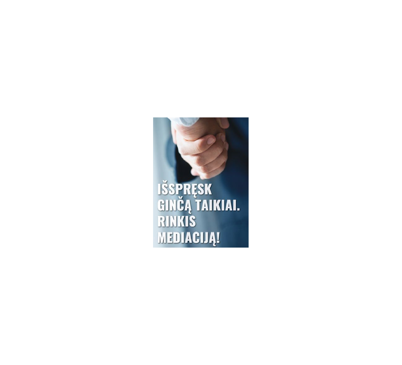 TEISIS įdiegtas funkcionalumas (mediacija)