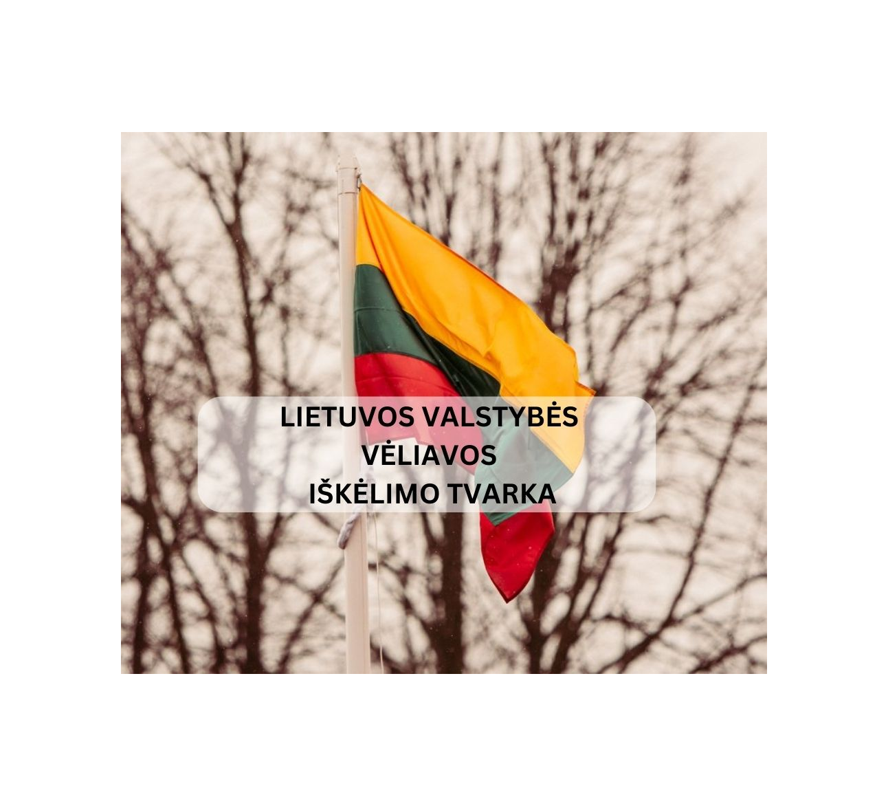 Nepamirškime iškelti Lietuvos trispalvę