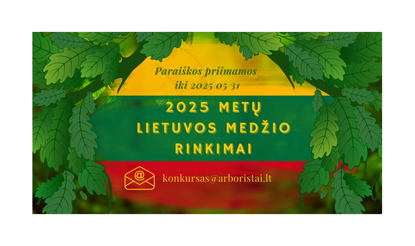 Kviečiame prisidėti prie prasmingos iniciatyvos – „2025 metų Lietuvos medžio rinkimų“