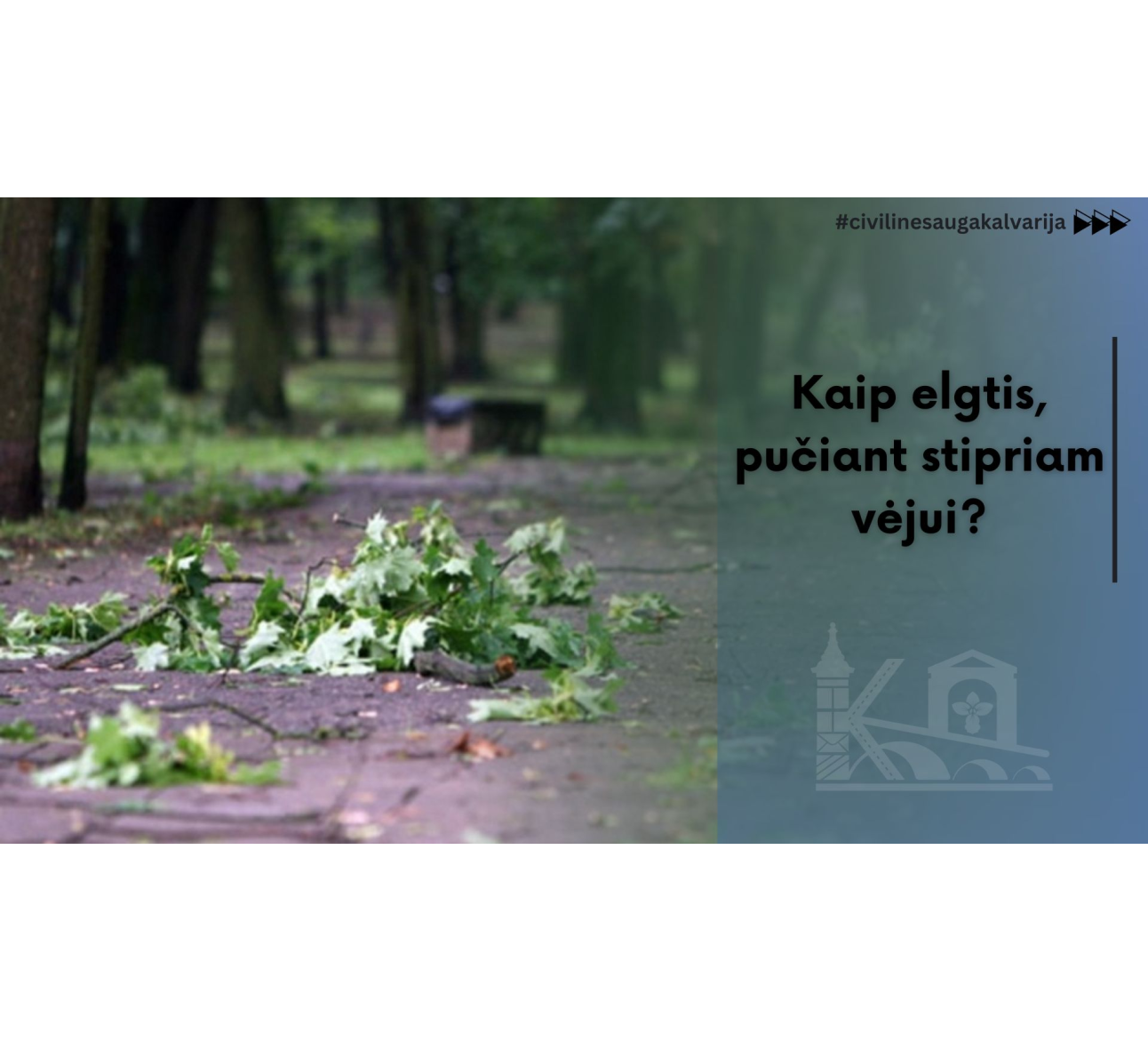 Kaip elgtis, pučiant stipriam vėjui?