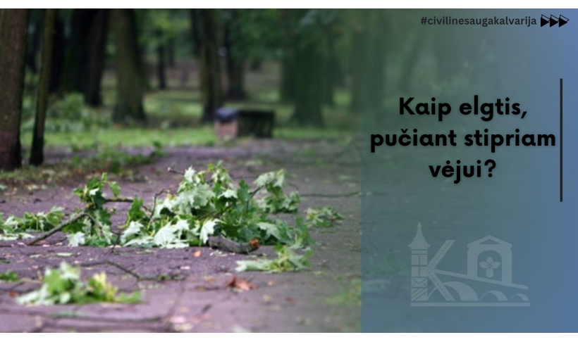Kaip elgtis, pučiant stipriam vėjui?