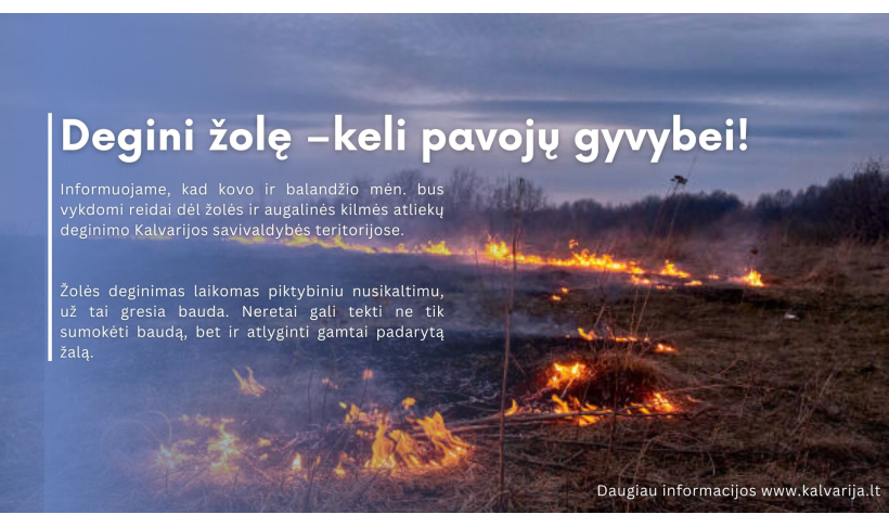 Degini žolę – keli pavojų gyvybei!