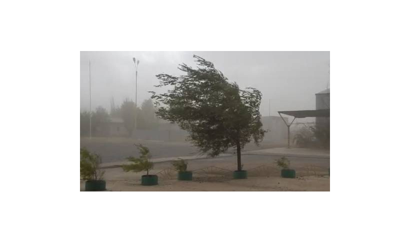 PERSPĖJIMAS APIE PAVOJINGĄ METEOROLOGINĮ REIŠKINĮ – SMARKŲ VĖJĄ (MAKSIMALUS VĖJO GREITIS ≥15 M/S ir <28 M/S)