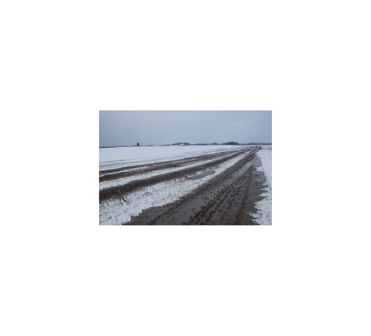 Dėl srutų laistymo