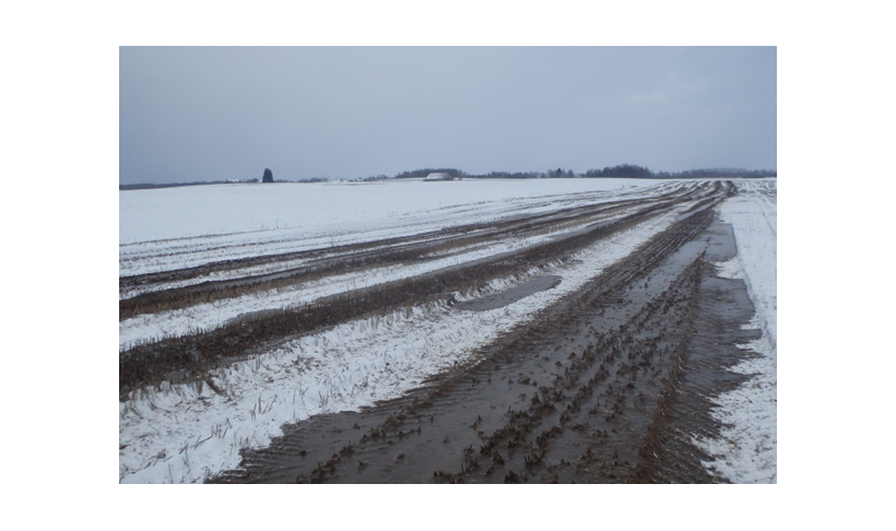 Dėl srutų laistymo