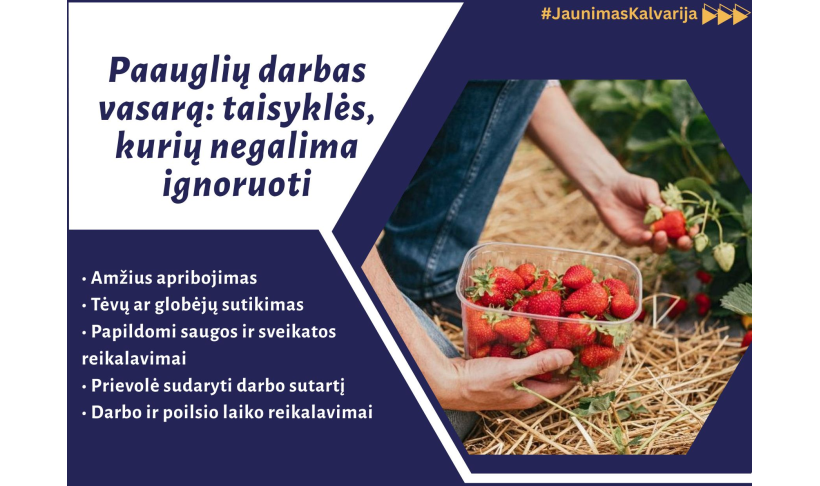 Paauglių darbas vasarą: taisyklės, kurių negalima ignoruoti