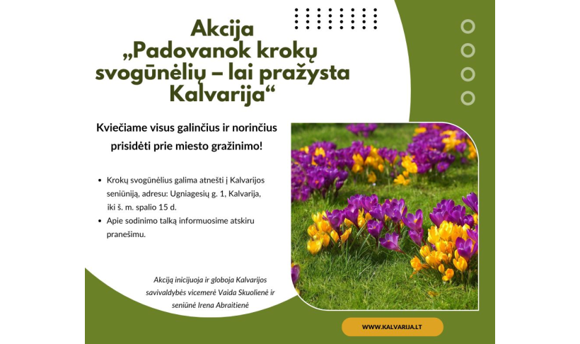 Kviečiame prisidėti prie akcijos „Padovanok krokų svogūnėlių – lai pražysta Kalvarija“
