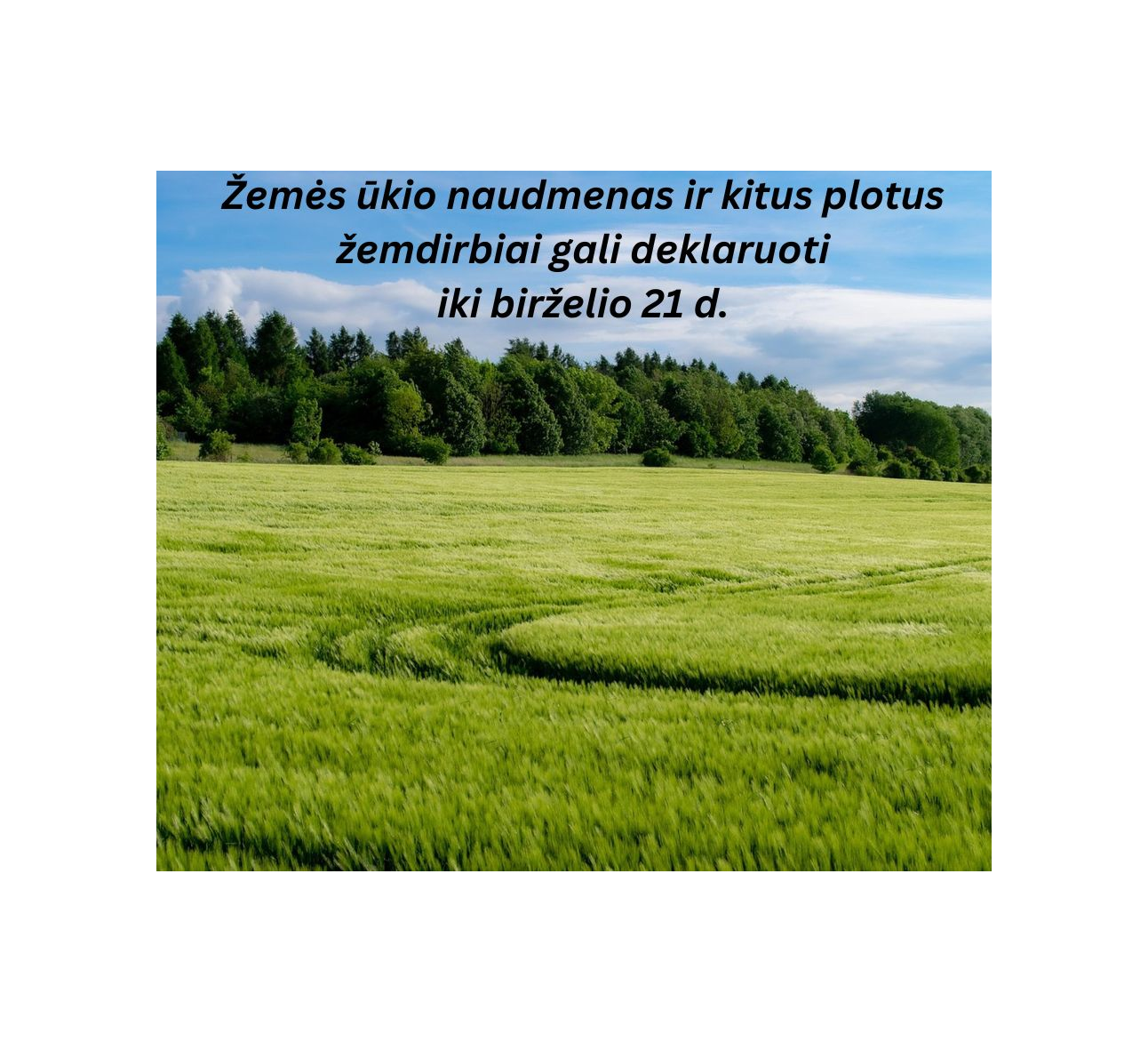 Kita savaitė paskutinė, kai galima deklaruoti žemės ūkio naudmenas ir kitus plotus