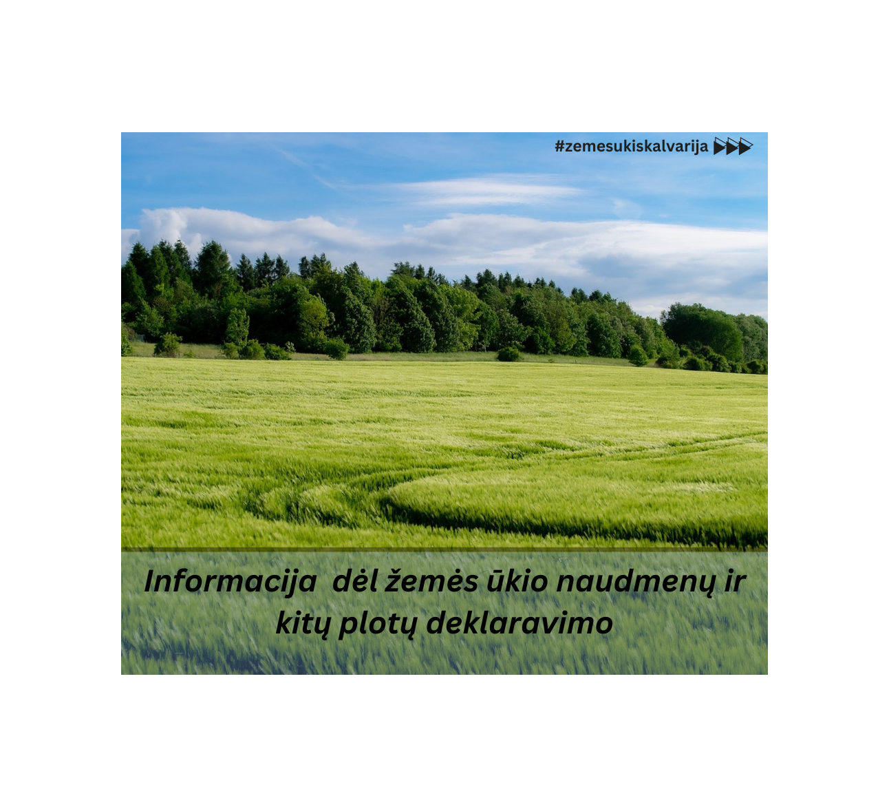 Informacija dėl žemės ūkio naudmenų ir kitų plotų deklaravimo