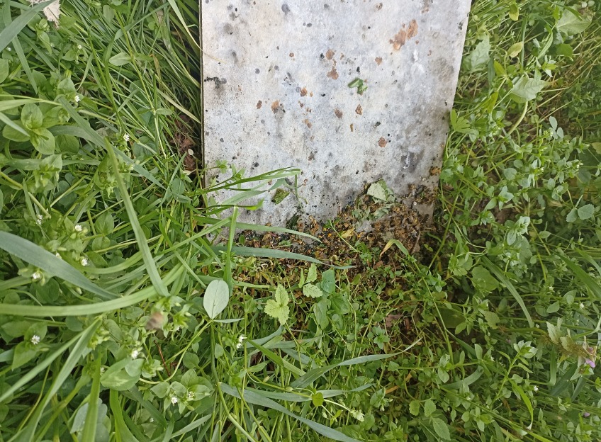 Pic-1
