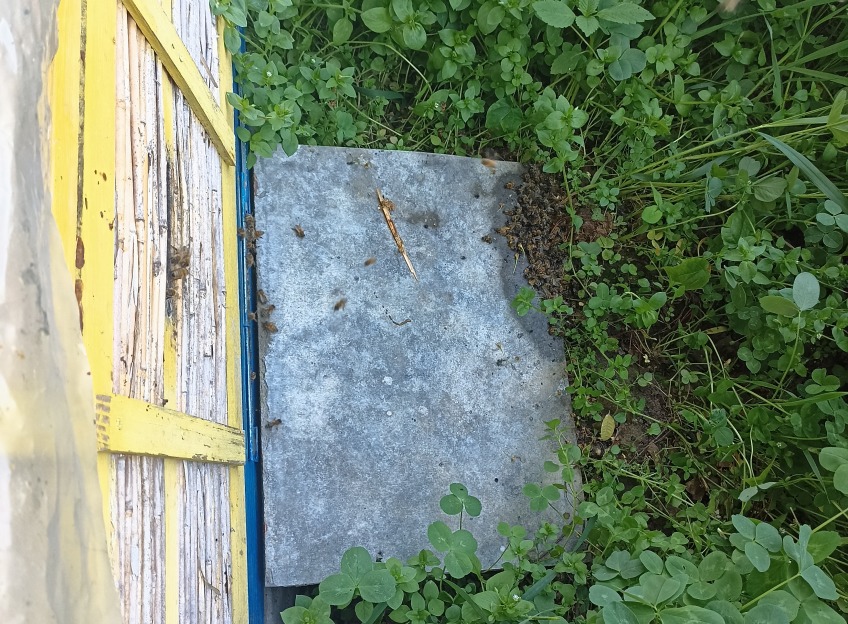 Pic-2