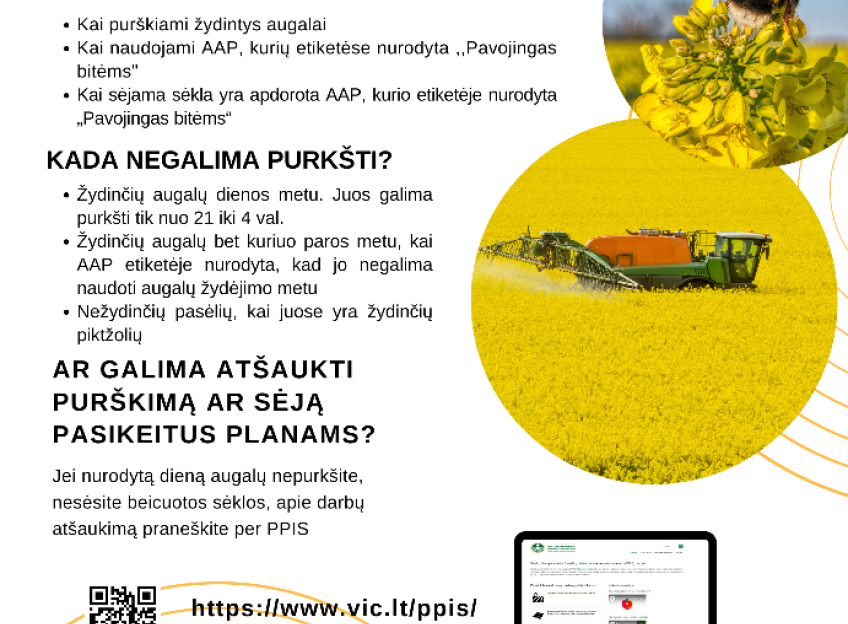 Pic-2