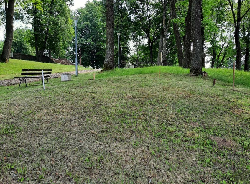 Pic-3