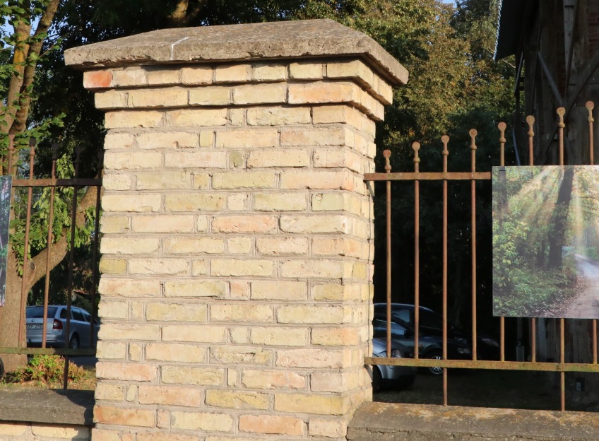 Pic-6