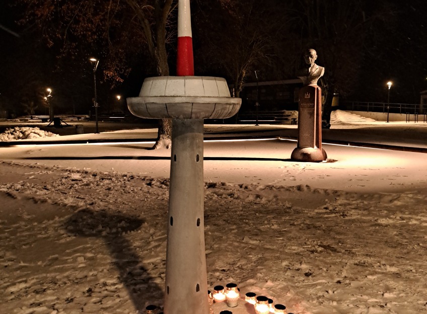 Pic-8