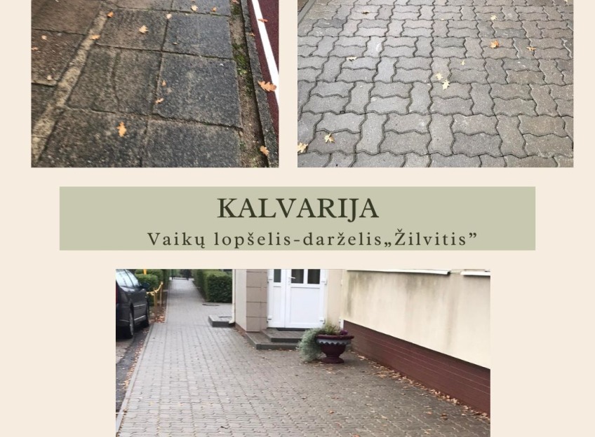 Pic-12